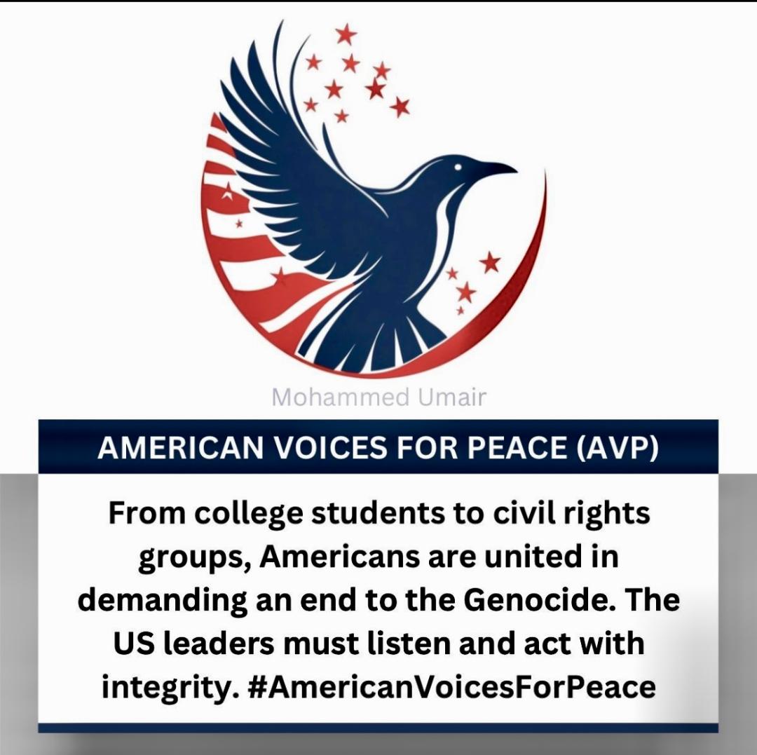 American Voices Peace visual mark